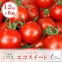 北海道仁木町産ミニトマト1.2kg×6箱［栽培期間中 農薬不使用］　　お届け：2024年7月上旬～9月下旬まで