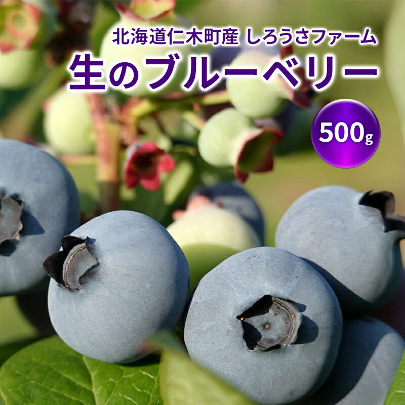 4位! 口コミ数「0件」評価「0」北海道 仁木町産 しろうさファーム 生のブルーベリー 500g　【 果物 フルーツ 果実 生ブルーベリー 国産 国産ブルーベリー 日本産 】･･･ 