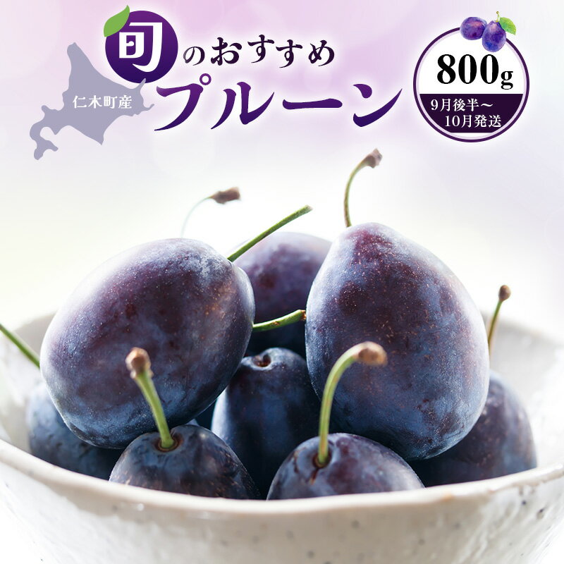 6位! 口コミ数「0件」評価「0」【9月後半～10月発送】 北海道 仁木町産 和田農園 おすすめ プルーン 800g　【果物類・フルーツ・果物詰合せ・フルーツ】　お届け：20･･･ 