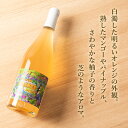 北海道仁木町の画像3