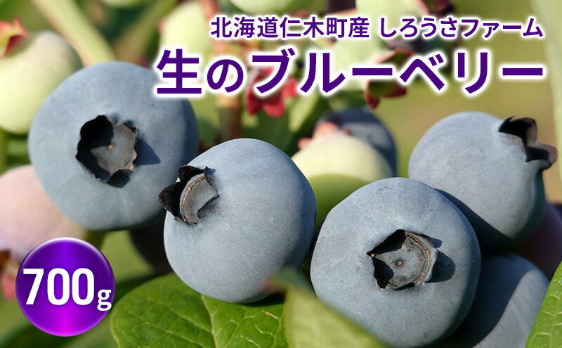 北海道仁木町の画像2