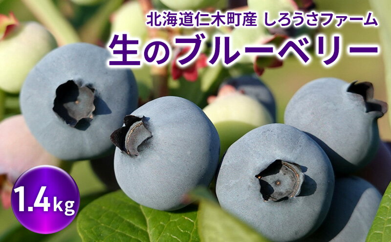 北海道仁木町の画像2