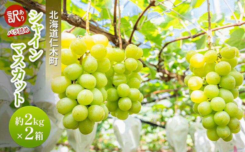 北海道仁木町の画像2