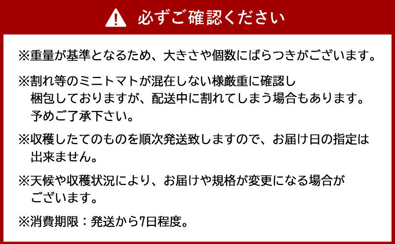 【ふるさと納税】[2026年産][栽培期間中 農薬・化学肥料不使用] 北海道 仁木町産 ミニトマト エコスイート 1.2kg×1箱 サイズ混載 トマト野菜 やさい [Farm Watanabe]　お届け：2026年7月下旬～2026年8月下旬まで