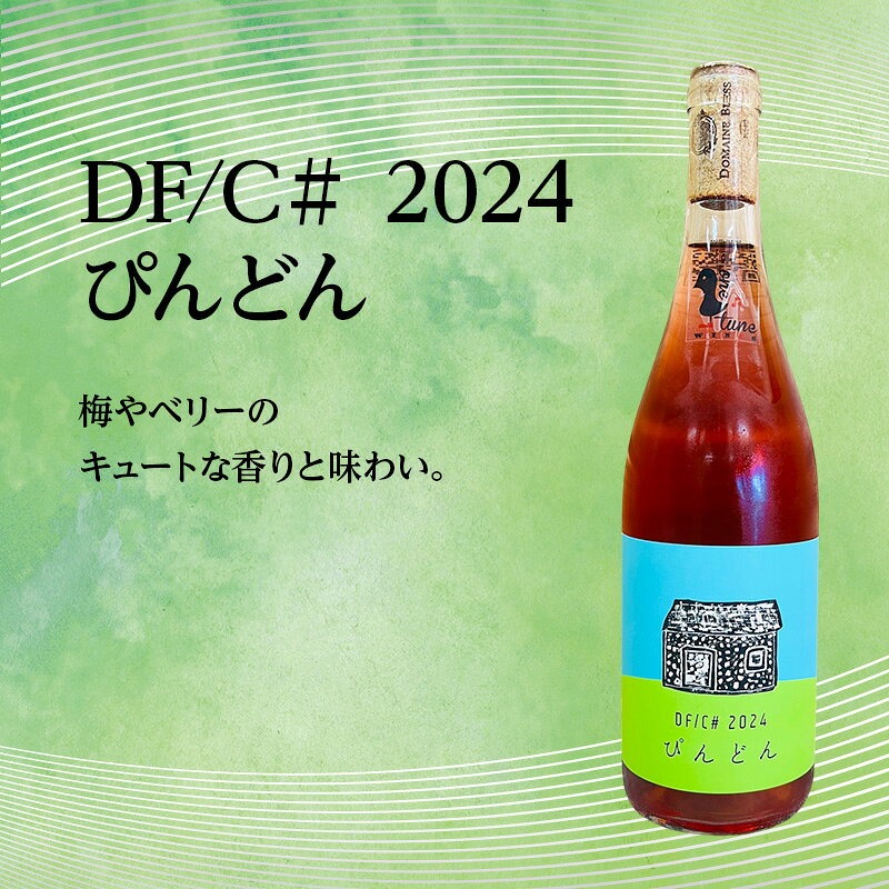 【ふるさと納税】ふるさと納税限定セット 北海道仁木町 ロゼ飲み比べ3本セット【Domaine ICHI×OneTune Wines×仁木産業振興社】 お酒 酒 果実酒 晩酌 葡萄 ぶどう ブドウ 料理 食事 お祝い 北海道 仁木町 飲み比べ　お届け：2026年10月から順次出荷 f014079-niki-10001684 北海道仁木町 サンプル画像3
