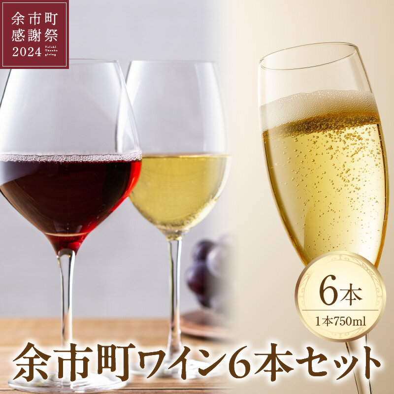 【ふるさと納税】【余市町感謝祭2024】lot12 余市町ワイン6本セットのサムネイル