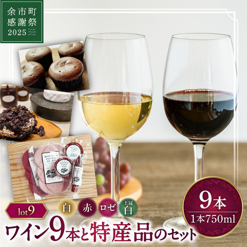 [余市町感謝祭2025]lot2509 特産品とワイン9本セット