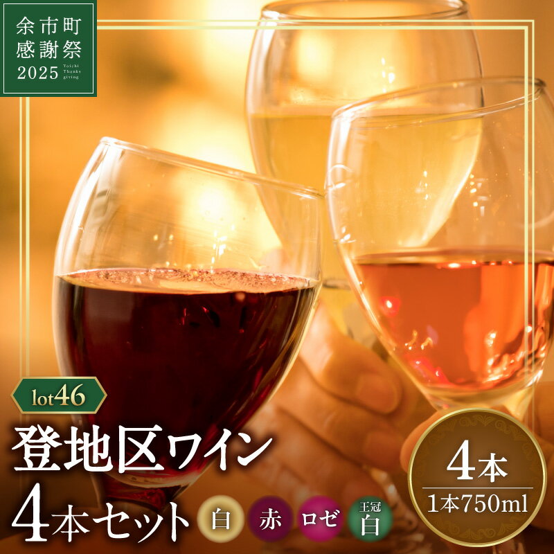 [余市町感謝祭2025]lot2546 登地区 赤・白・ロゼ・スパークリング4本セット