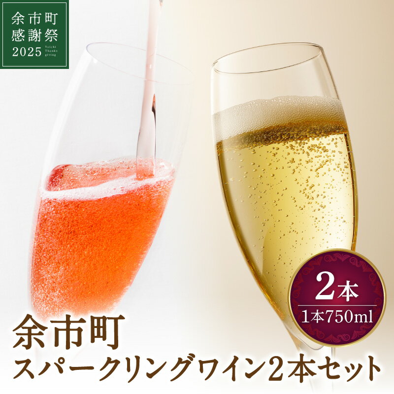 [余市町感謝祭2025]lot2560 余市町スパークリングワイン2本セット