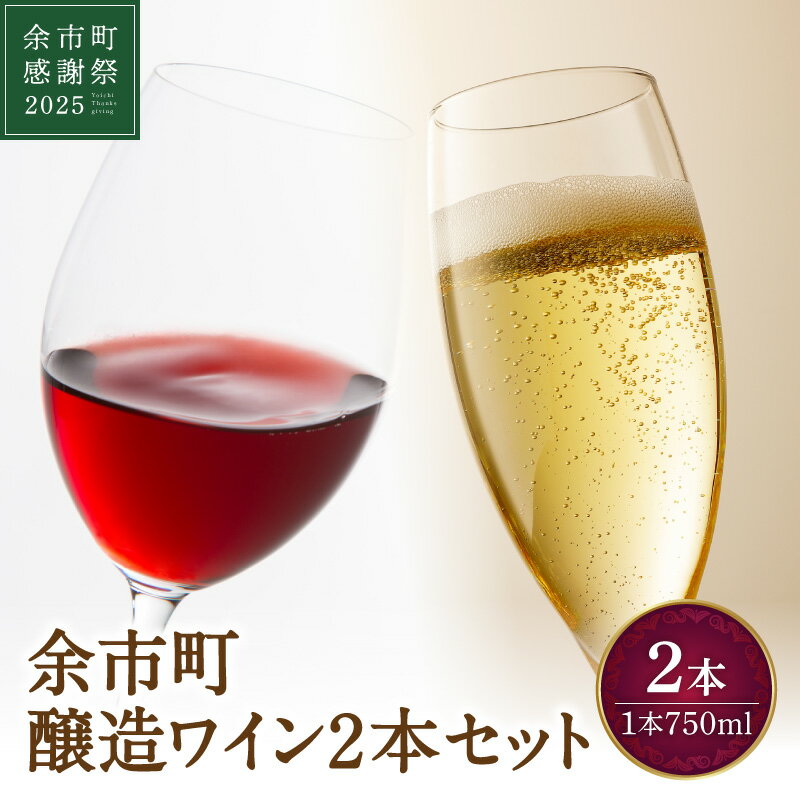 [余市町感謝祭2025]lot2561 余市町醸造ワイン2本セット