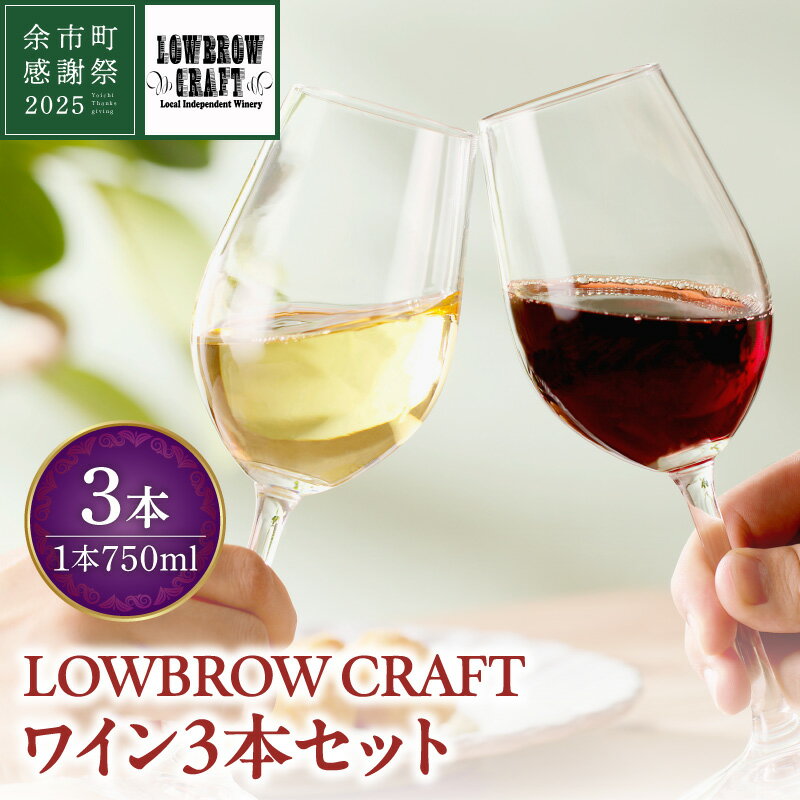 [余市町感謝祭2025]lot2564 LOWBROW CRAFTワイン3本セット