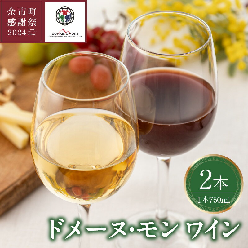 【ふるさと納税】【余市町感謝祭2024】lot30 ドメーヌモン ワイン2本セットのサムネイル