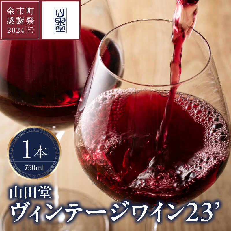 【ふるさと納税】【余市町感謝祭2024】lot38 山田堂 2023年ヴィンテージワインのサムネイル