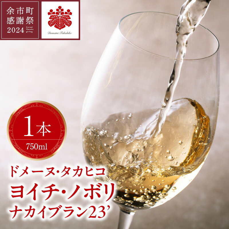 【ふるさと納税】【余市町感謝祭2024】lot41 ドメーヌタカヒコ「ヨイチ・ノボリ ナカイブラン 2023」ワインのサムネイル