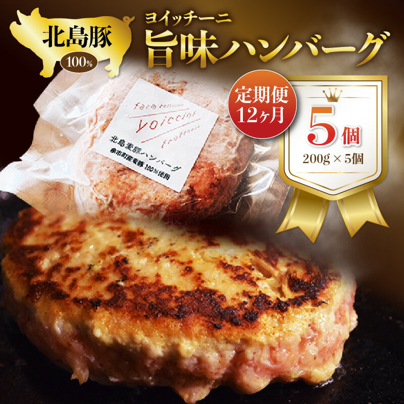 [定期便]12か月 ヨイッチーニ 旨味 ハンバーグ 5個 セット