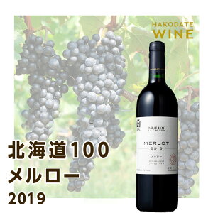 【ふるさと納税】北海道100 PREMIUM メルロー 2019 750ml 赤ワイン 送料無料