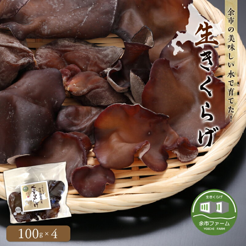 余市の美味しい水で育てた！ 生きくらげ 100g × 4 日本きくらげ 余市ファーム