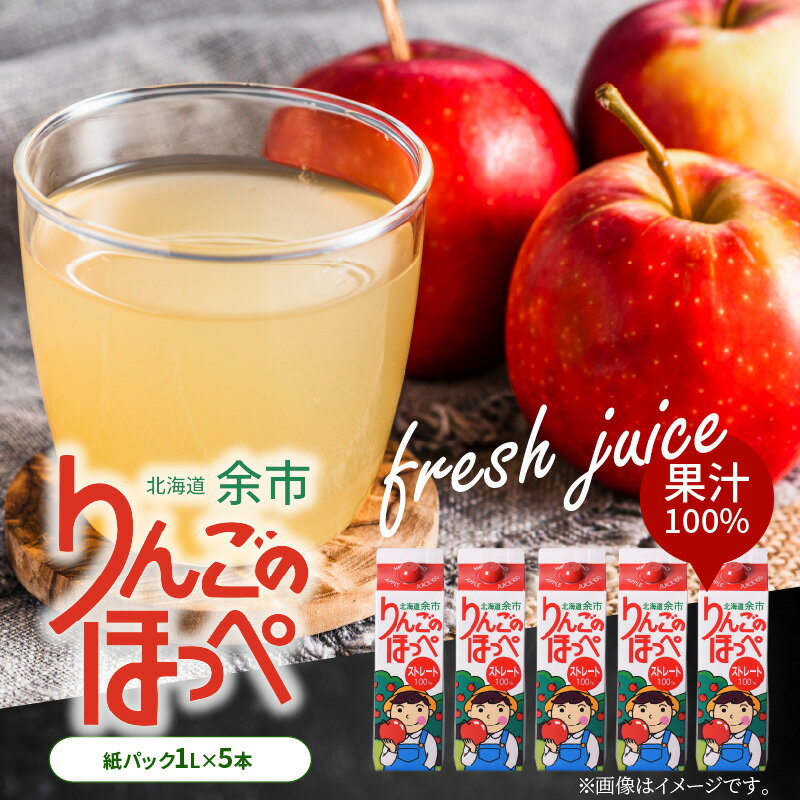 【ふるさと納税】りんごの産地 北海道産 りんご ジュース アップルジュース りんごのほっぺ 1L × 5本 果汁100% ストレート 紙パック ジュース 飲料 ...