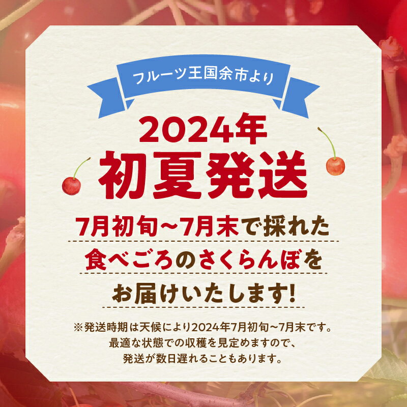 【ふるさと納税】2024年発送【先行予約】令和6年産 2024年初夏発送 余市産 さくらんぼ 500g × 2パック 合計 1kg フルーツ 果物 果実 チェリー 美味しい 旬の味覚 北海道 東谷農園 国産 お取り寄せ お取り寄せフルーツ 送料無料