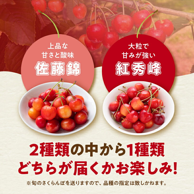【ふるさと納税】【2025年初夏発送】 さくらんぼ 毎年大好評！ こだわりの 東谷農園 余市産 さくらんぼ 500g × 2パック 合計 1kg フルーツ 果物 果実 チェリー 美味しい 旬の味覚 北海道 東谷農園 国産 お取り寄せ お取り寄せフルーツ 送料無料