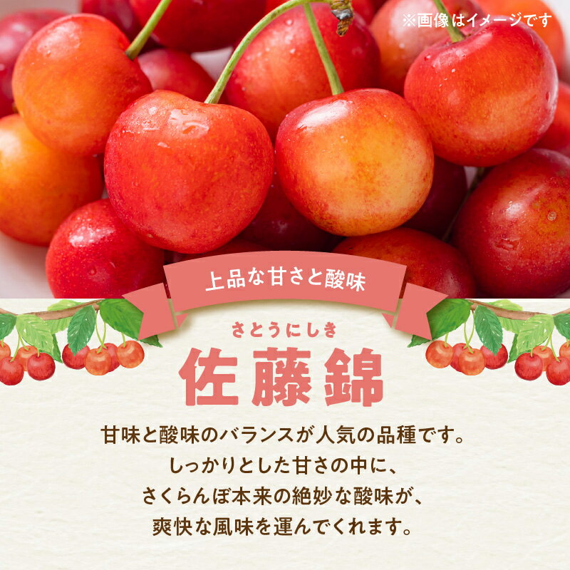【ふるさと納税】【2025年初夏発送】 さくらんぼ 毎年大好評！ こだわりの 東谷農園 余市産 さくらんぼ 500g × 2パック 合計 1kg フルーツ 果物 果実 チェリー 美味しい 旬の味覚 北海道 東谷農園 国産 お取り寄せ お取り寄せフルーツ 送料無料