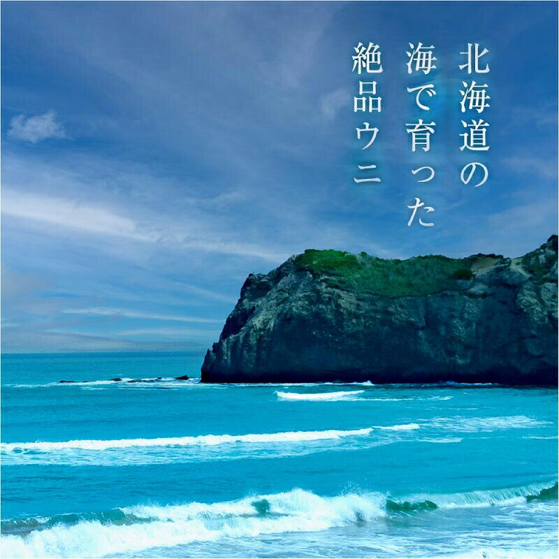 【ふるさと納税】北海道産 バフンウニ 80g 福雲丹 北海道 余市 世壱屋 バフン ウニ 生うに 熟成製法 旨味 食感 とろける コク 甘み 冷凍 ごはんのおとも お取り寄せ お取り寄せグルメ 送料無料