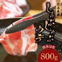【ふるさと納税】【北島麦豚】しゃぶしゃぶウデ 800g 簡易包装 肉 お肉 ぶた ブタ 豚肉 うす切り スライス 炒め物 豚汁 しょうが焼き おかず お弁当 焼...