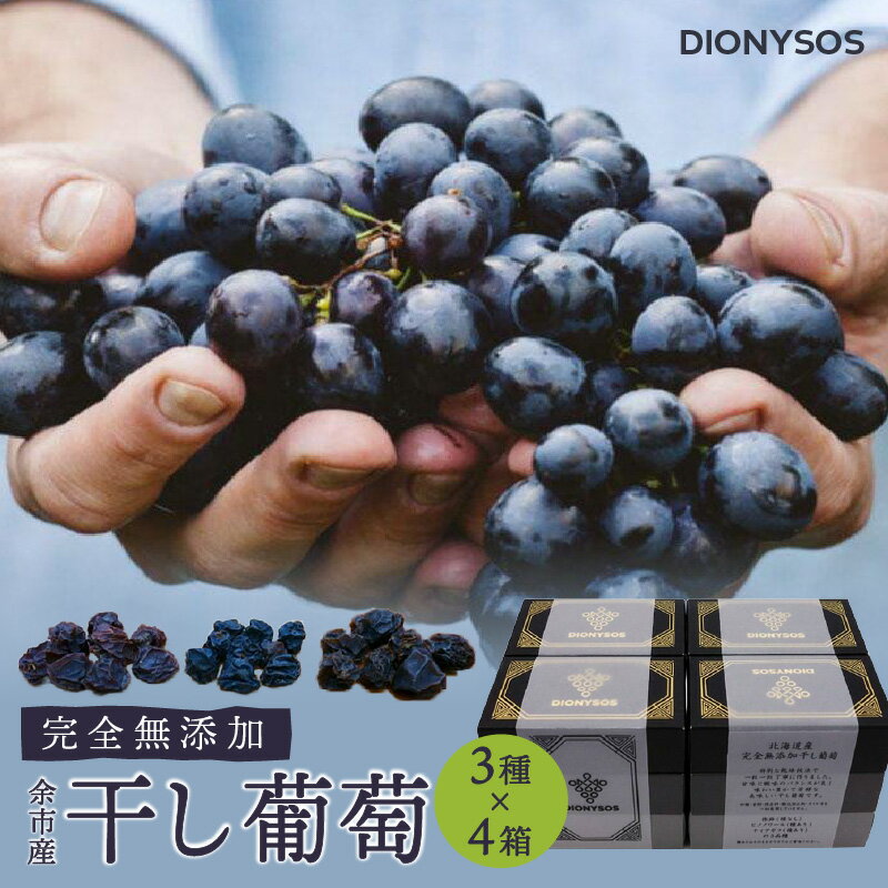 【ふるさと納税】余市産 完全 無添加 干し 葡萄 DIONYSOS 3種 セット × 4個