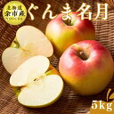 【ふるさと納税】【先行予約:2025年11月上旬以降発送】余市産 ぐんま名月 松村農園産のりんご 5kg 蜜入りりんご 余市産 松村農園 甘味強い 酸味控えめ サクッとした食感 豊富な果汁 幻のりんご 種の周り蜜 ジャム アップルパイ 秋の味覚 国産りんご 北海道 余市町 送料無料