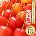 【ふるさと納税】 2025年発送 【 先行予約 】 令和7年産 南陽 【 3Lサイズ 】 500g×2 【 ニトリ観光果樹園 】 余市 北海道 フルーツ王国 さ...