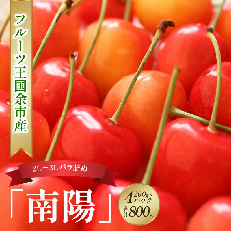 【ふるさと納税】 2025年発送 【 先行予約 】 令和7年産 南陽 【 2L〜3L バラ詰め 】 200g×4 【 ニトリ観光果樹園 】 余市 北海道 フルーツ王国 さくらんぼ サクランボ 桜桃 南陽 余市産さくらんぼ 人気さくらんぼ ニトリ 北海道 余市町 グルメ 冷蔵 お取り寄せ 送料無料