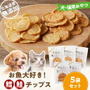 【ふるさと納税】 お魚大好き! 犬 ・ 猫 用 おやつ 北海道産 無添加 鱈 、 鮭チップス 5袋 セット 増量 増量中 増量キャンペーン お取り寄せ 犬用おや...