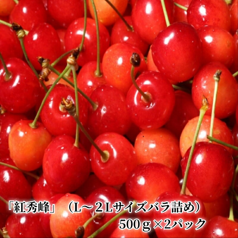 【ふるさと納税】【先行予約】令和6年産＜北海道余市産＞さくらんぼ「紅秀峰」（L～2Lサイズ　バラ詰...