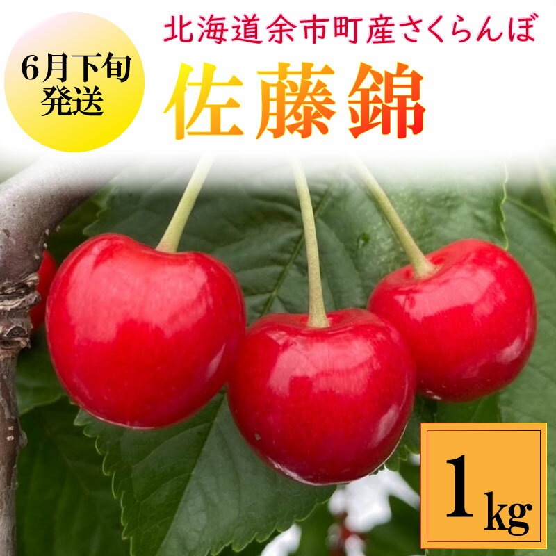 【ふるさと納税】【先行予約】令和6年産＜北海道余市産＞さくらんぼ 佐藤錦 L～2Lサイズ バラ詰め 500g 2パック 6月下旬～7月上旬発送予定【VergerNobori1976】【北海道アグリドリーム】さくら…