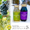 【ふるさと納税】無添加 100%ストレート ぶどうジュース 180ml カベルネ・ナイアガラ 各1本 安芸農園 ジュース ギフト 北海道産 夏 夏ギフト 北海道 余市町 送料無料