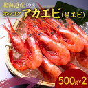 【ふるさと納税】冷凍ホッコクアカエビ(甘エビ)500g×2 エビ えび 海老 甘海老 あかえび 殻付き おさしみ 刺身 生食 海鮮丼 バターソテー 味噌汁 塩辛...