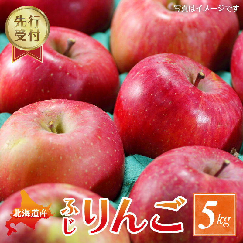 21位! 口コミ数「0件」評価「0」【2024年11月下旬以降発送分先行受付】りんご ふじ 5kg 果物 アップル フルーツ お取り寄せ 先行受付 北海道 余市町 送料無料