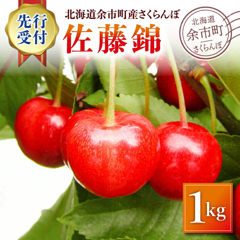 [2024年7月上旬以降発送分先行受付]さくらんぼ(佐藤錦) 1kg 北海道 余市 余市町農業協同組合 フルーツ デザート 果物 季節限定 グルメ とれたて 甘み 鮮やかな紅色 冷蔵 お取り寄せ 送料無料