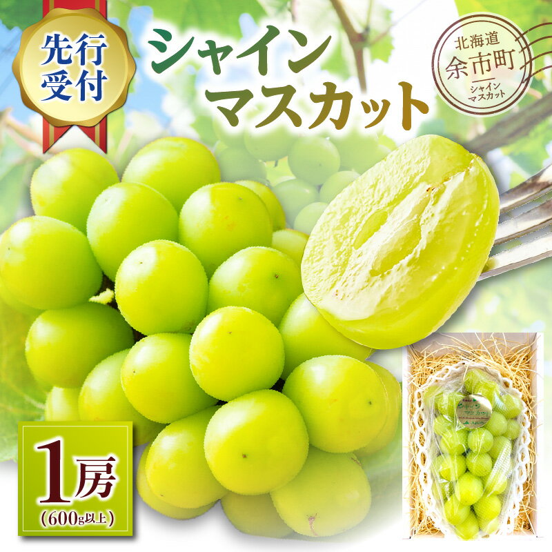 楽天北海道余市町【ふるさと納税】【2024年度10月上旬以降発送分先行受付】シャインマスカット 1房（600g以上） 秋の贈り物 余市町産 北海道 季節限定 ぶどう 皮ごと 食感 甘い タルト ショートケーキ 種なし お歳暮 お中元 大粒 美味しい 芳醇な香り 果樹栽培 ギフト お取り寄せ 送料無料