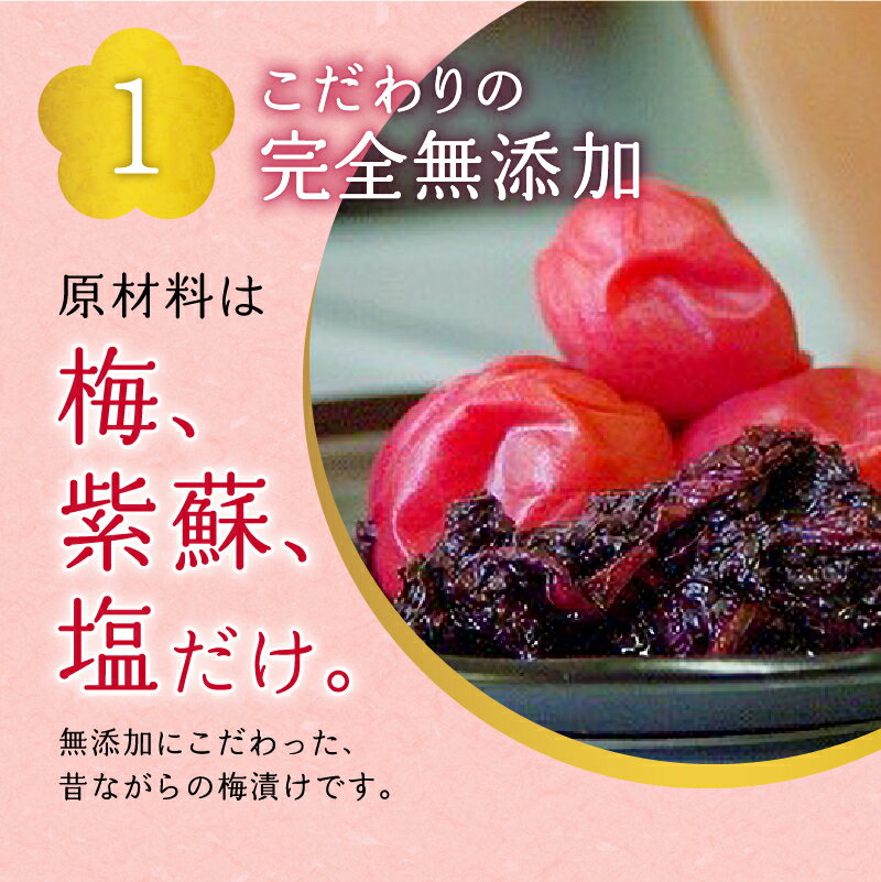 【ふるさと納税】本梅漬け 420g×5パック 北海道産 無添加 減塩 紫蘇 熟成 完熟 自家栽培 昔ながら カリカリ食感 おにぎり 花見 梅 北海道 余市町 送料無料