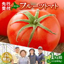 【ふるさと納税】2024年7月以降発送予定【先行受付】余市の太陽が育んだ 高糖度 フルーツトマト 1kg箱 （8〜15玉 800g） 北海道 余市町産 ファームフジタ 生鮮食品 野菜 果物 水制限 こだわり 栽培 甘味 酸味 濃厚 美味しい 送料無料