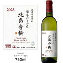 【ふるさと納税】葡萄作りの匠 北島秀樹ピノ・ノワール ブラン・ド・ノワール2023 750ml 余市町産 ぶどう 酒 洋酒 果実酒 アルコール 果実味 北海道産...