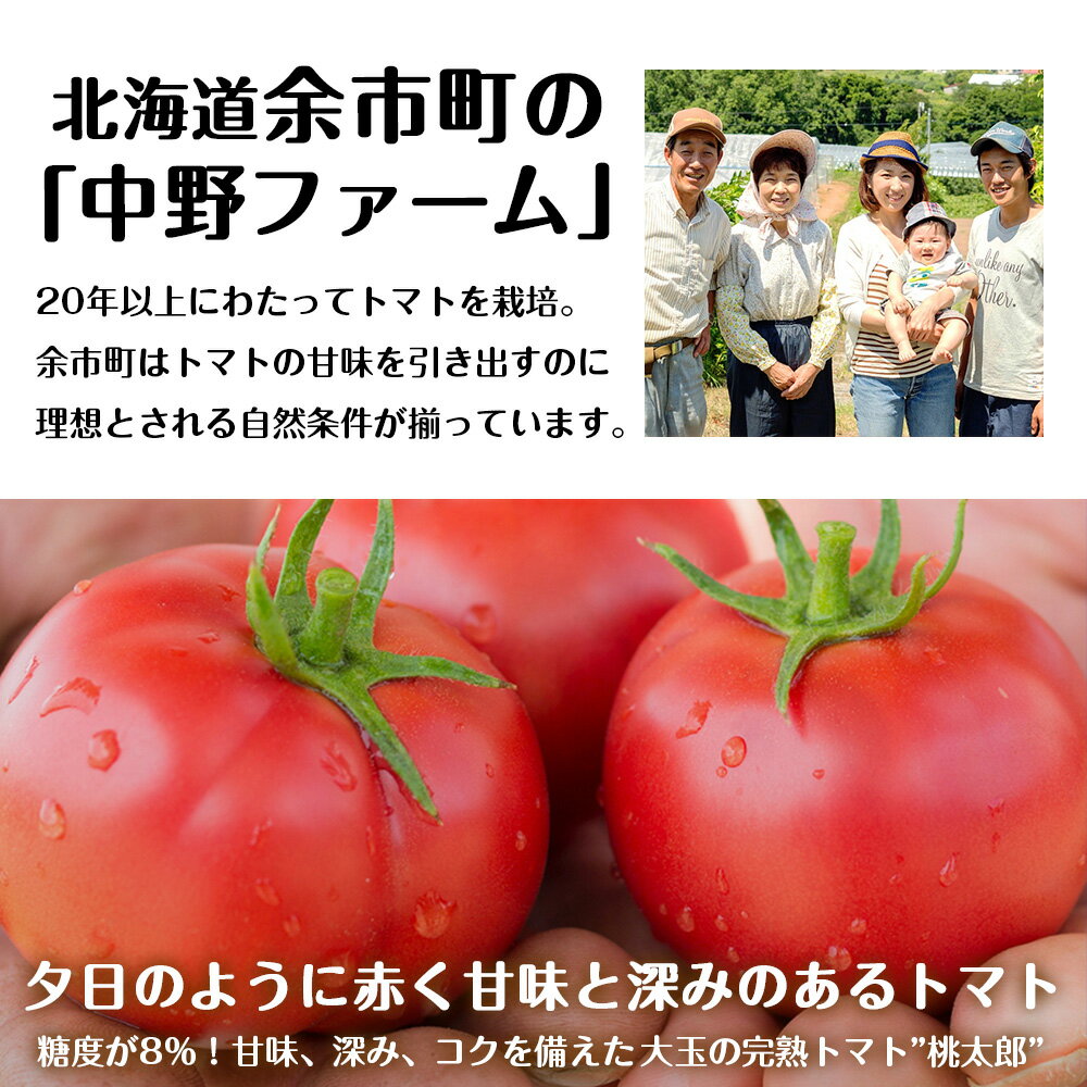 【ふるさと納税】セコマ 北海道 余市町産 完熟トマト酎ハイ 350ml × 24本 酎ハイ 完熟トマト トマトサワー 中野ファーム 桃太郎 トマト果実 北海道フェア 完熟トマト 糖度8％ 高糖度・高品質トマト 大玉トマト レッドアイ セイコーマート 余市町産 北海道 余市町 送料無料