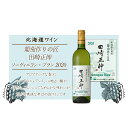 【ふるさと納税】葡萄作りの匠 田崎正伸ソーヴィニヨン・ブラン 2020<北海道ワイン> 白ワイン 辛口 ぶどう ブドウ 葡萄 お酒 酒 果実酒 秋鮭 チーズ ア...