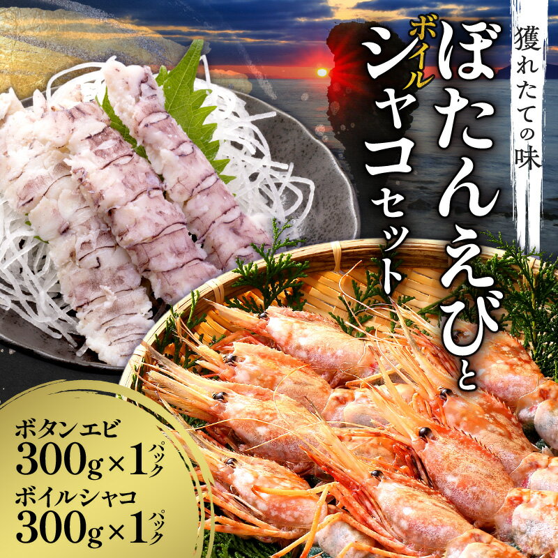 【ふるさと納税】獲れたての味! ボタンエビ300g × 1 パック・ボイルシャコ300g × 1 パック セット品 甲殻類 魚介類 お刺身 焼き物 海鮮丼 海産物 天ぷらフライ 茶碗蒸し 海老 冷凍 お取り寄せ 北海道 余市町 送料無料