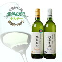 【ふるさと納税】北海道ワイン 余市 葡萄作りの匠 「 北島秀樹 」ケルナー セット 750ml × 2本 飲み比べセット ワイン 白ワイン 甘口 辛口 ぶどう ...