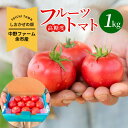 【ふるさと納税】2025年発送【先行予約】しおかぜの畑 中野ファーム 余市産 フルーツトマト 1kg 2025年初夏発送 高糖度トマト シリパ岬 小ぶり トマト 濃厚な味わい バランス 北海道 余市 送料無料
