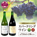 【ふるさと納税】余市町 リタファーム＆ワイナリー 赤白スパークリングワイン 2本セット お取り寄せ 北海道 余市町 送料無料