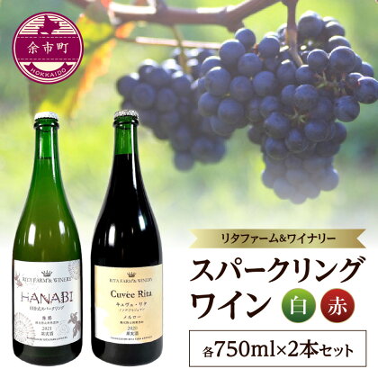 余市町 リタファーム＆ワイナリー 赤白スパークリングワイン 2本セット お取り寄せ 北海道 余市町 送料無料