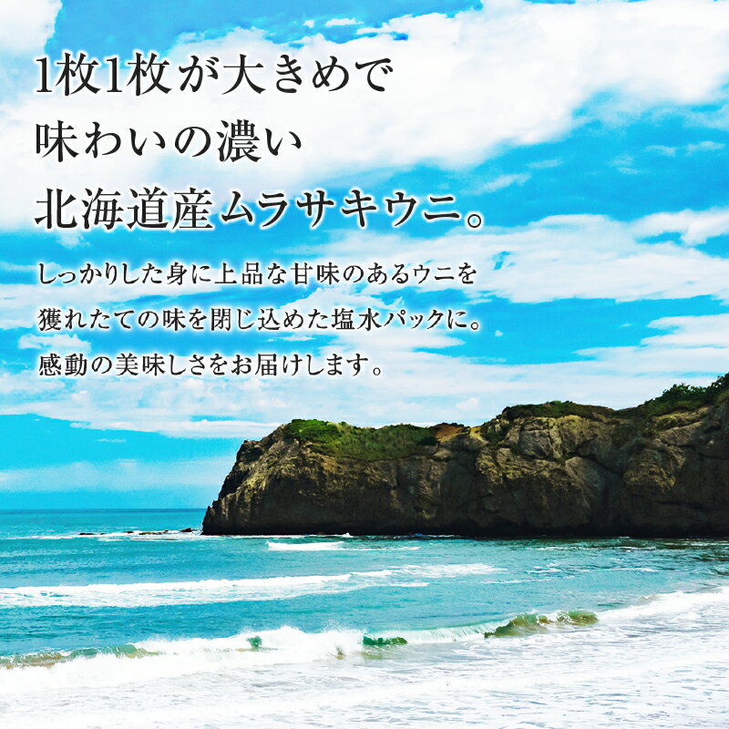 【ふるさと納税】【 先行予約 ： 2024年4月末以降順次発送 】北海道産 世壱屋 塩水ウニ（ムラサキウニ） 200g ムラサキウニ ウニ キタムラサキウニ 冷蔵 生食 旨味 濃厚 磯の香り 身がしっかり 海の幸 海産物 北海道 余市町 お取り寄せ お取り寄せグルメ 送料無料